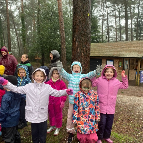 Go Ape Trip - Haldon Park