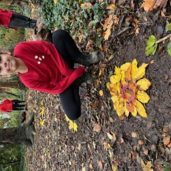 Forest school suns